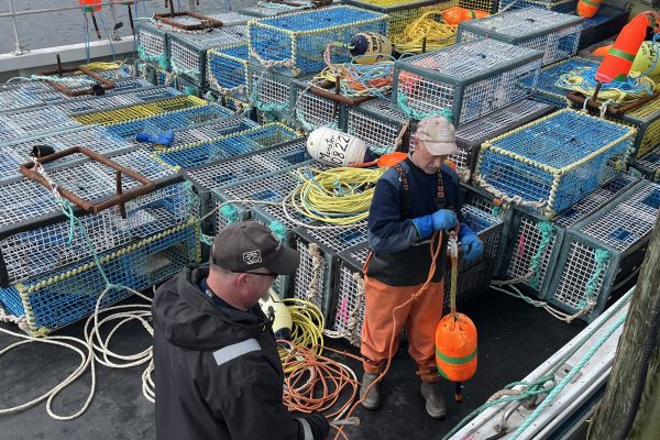 Canadians Grapple with the Wide Impacts of U.S. Tariffs