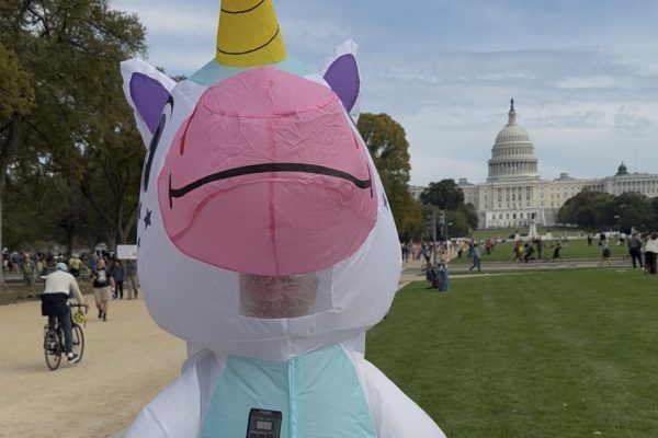 A frog, a lobster and a unicorn walked into a No Kings protest